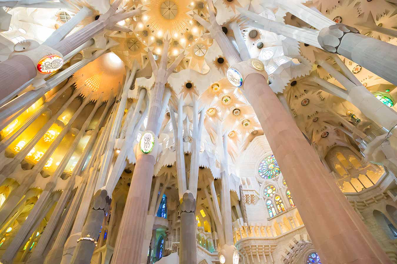 Gaudi