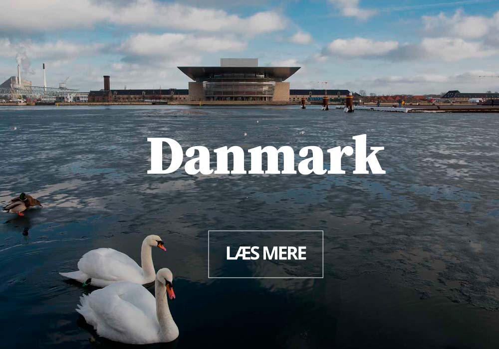 Firmarejser til Danmark