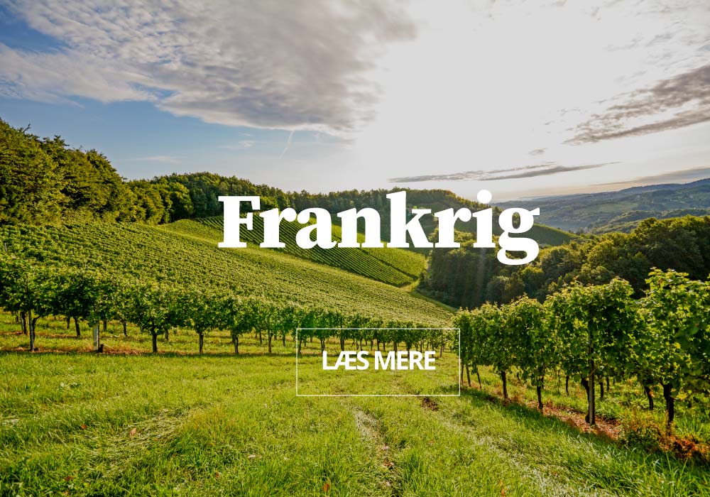Firmarejser til Frankrig