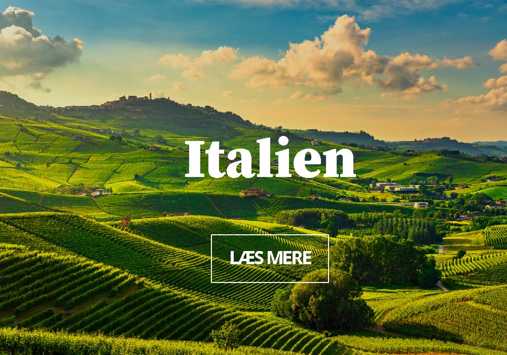 Firmarejser til Italien