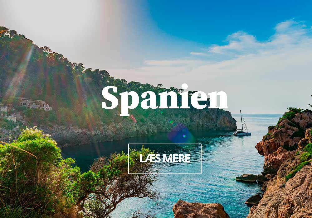 Firmarejser til Spanien