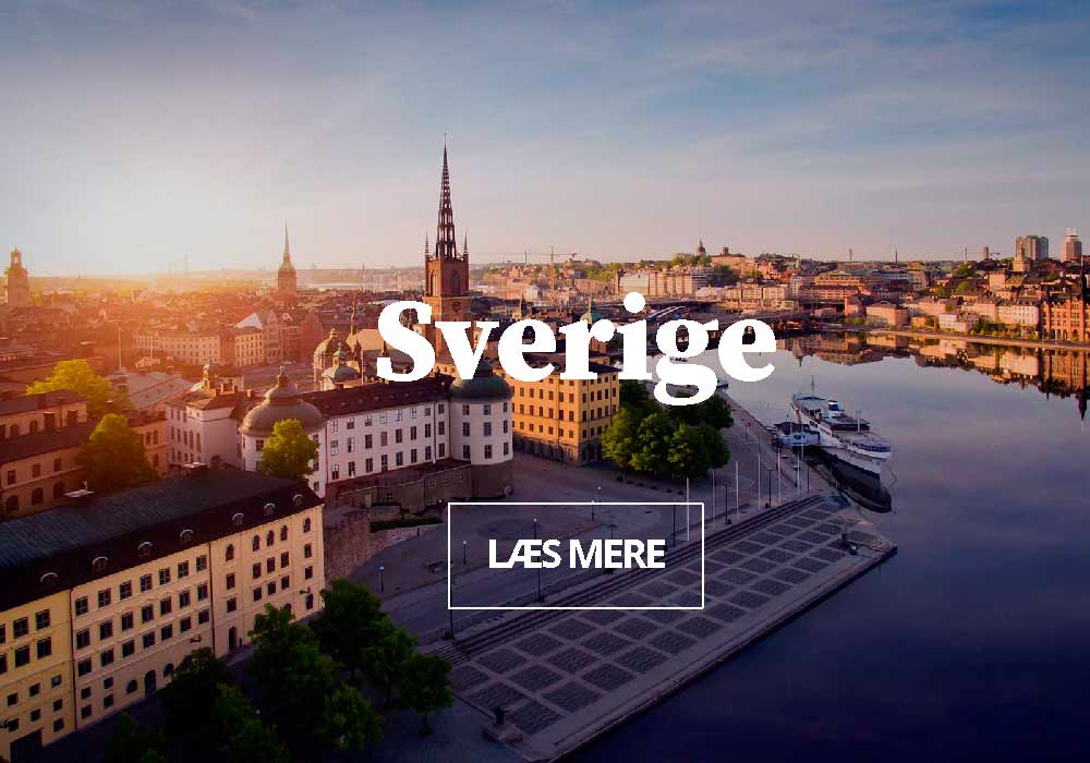 Firmarejser til Sverige