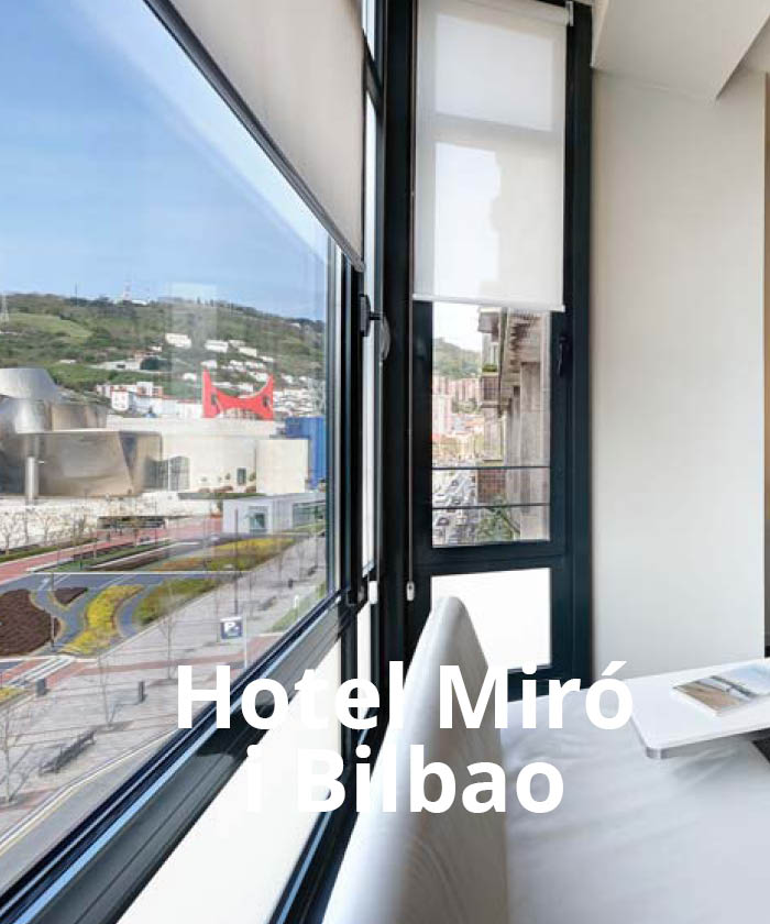 Hotel Bilbao Miró